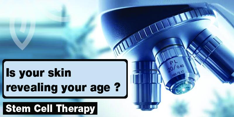 Stem Cell Therapy